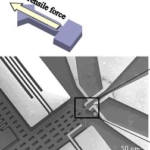 Thumbnail of post image 075