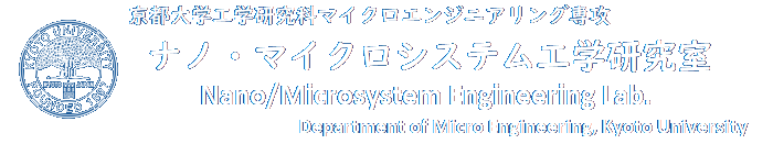 Nano/MicroSystemEngineeringLab