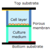 Thumbnail of related posts 058