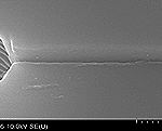 Thumbnail of post image 169